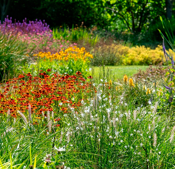 Afbeelding voor van der waal tuin&design